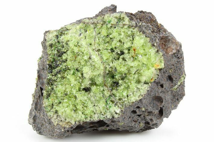 Peridot in Basalt - Arizona #253766